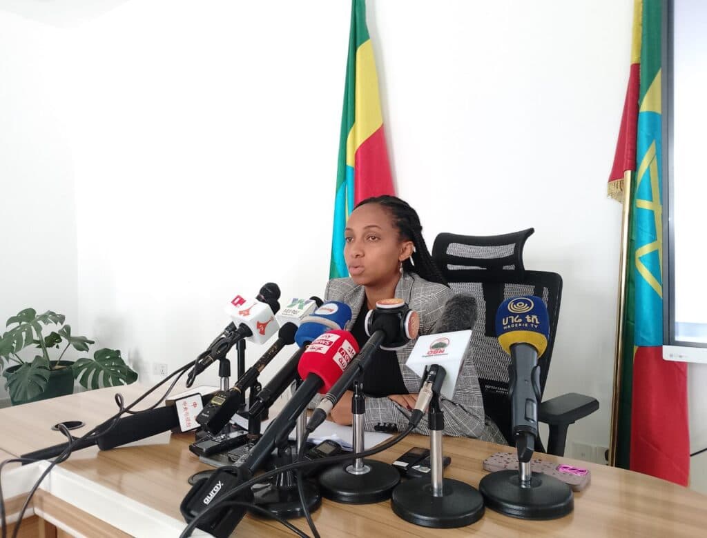 Ethiopia Attracts $3.82 Billion in Foreign Direct Investment