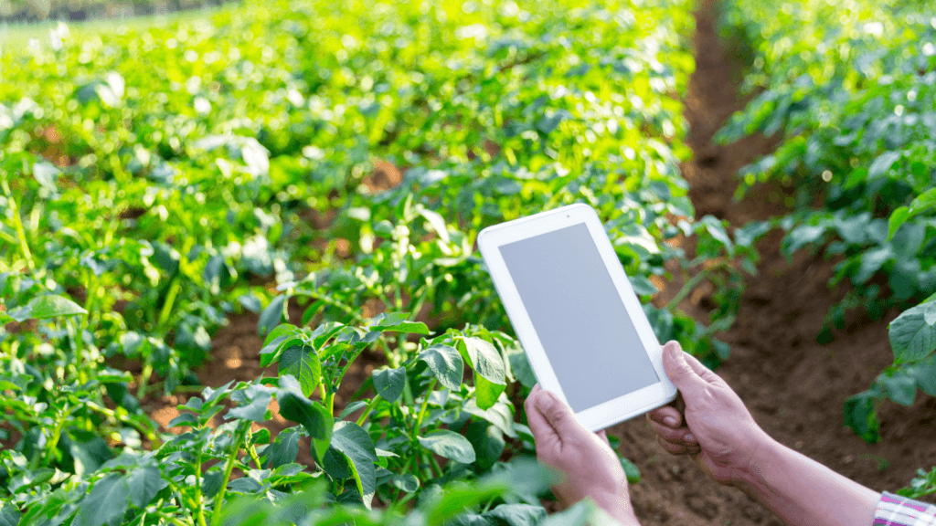 Ethiopia Unveils Digital Agriculture Roadmap