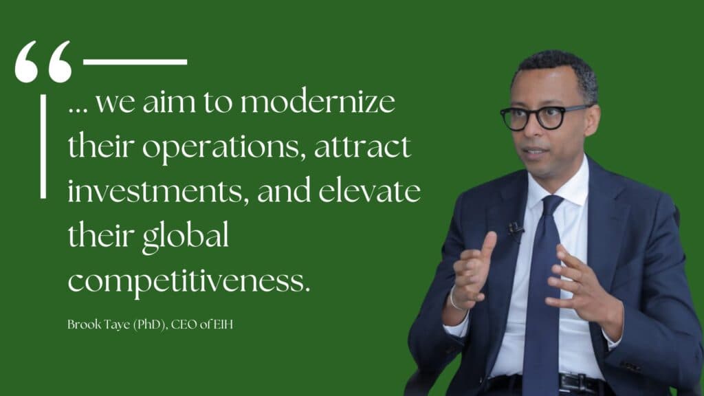 Ethiopian Investment Holdings Expands Portfolio with Eight SOEs