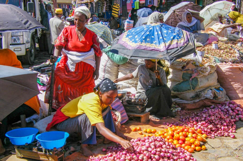 Behind the Scenes of Ethiopia’s Economy