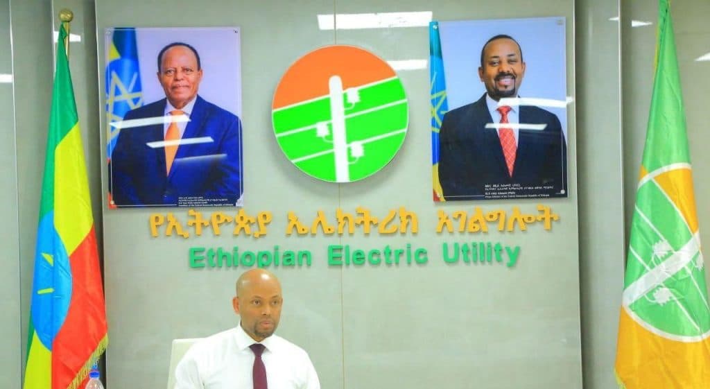 Ethiopian Electric Utility Posts 33.6 Billion Birr in Four-Month Revenue