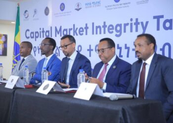 A new task force has been formed to make sure that public offerings and trading of securities are fair and safe.