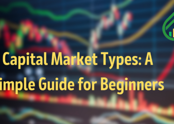 Capital Market Types: A Simple Guide for Beginners