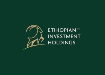 Ethiopian Investment Holdings Logo
