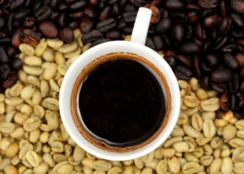 Ethiopia’s Coffee Exports Surge by Over 128,000 Tons, Reaching 20 New Global Markets